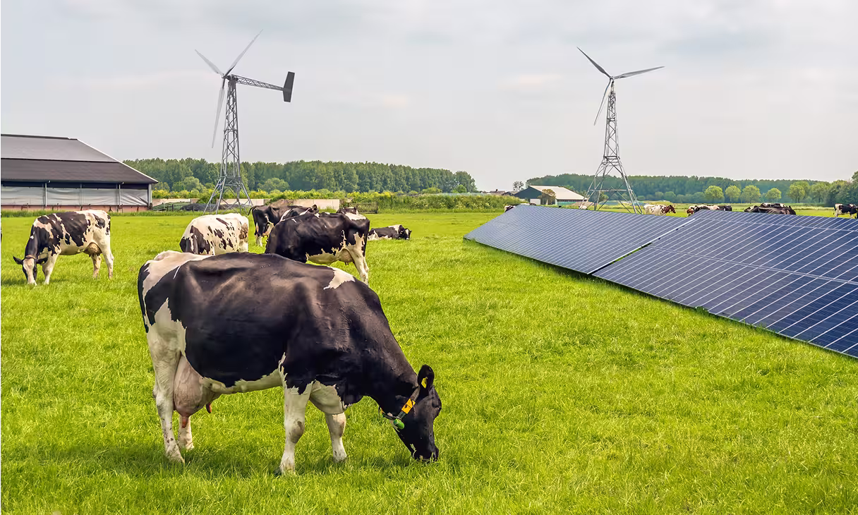 Ländliche Landschaft mit Weidevieh, Solarmodulen und Windturbinen – Beispiel für nachhaltige Energieversorgung in abgelegenen Gebieten.