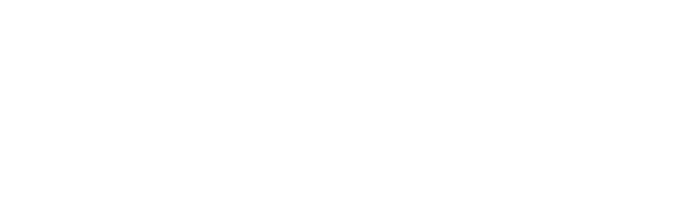 Logotipo de FOX ess
