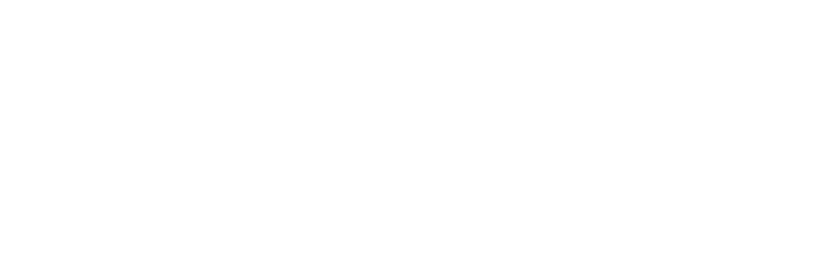 Logotipo de Solax